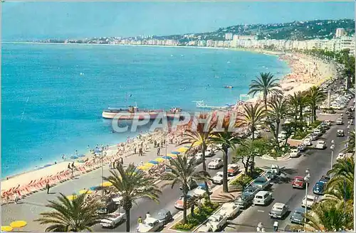 Cartes postales moderne Nice (Alpes Maritimes) la Cote d'Azur Miracle de la Nature Couleurs et Lumiere de France