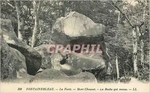 Cartes postales Fontainebleau la Foret Mont Chauvet la Roche qui Remue