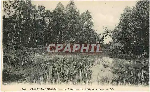 Cartes postales Fontainebleau la Foret la mare aux Fees