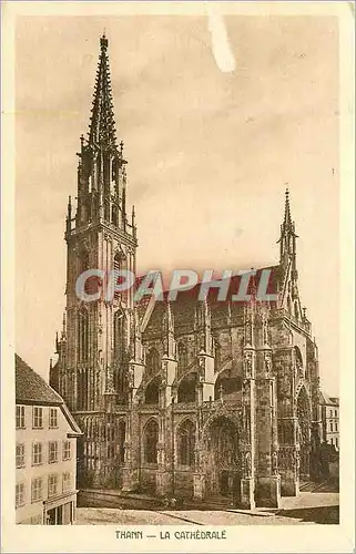 Cartes postales Thann la Cathedrale