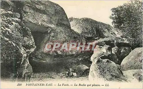 Cartes postales Fontainebleau la Foret la Roche qui Pleure