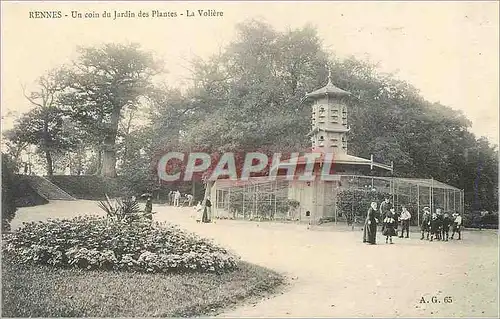 Ansichtskarte AK Rennes un coin du jardin des plantes la voliere