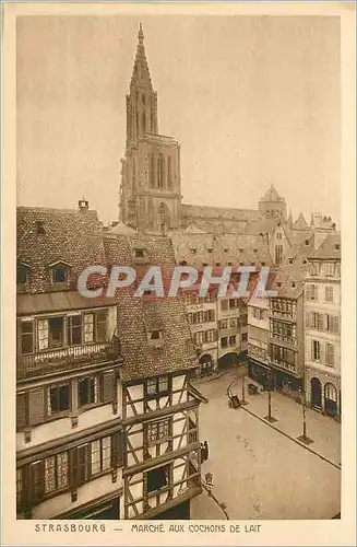Cartes postales Strasbourg marche aux cochons de lait
