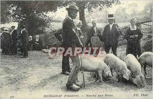 Moderne Karte Huelgoat (finistere) marche aux porcs Cochons