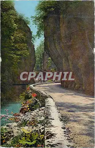 Cartes postales moderne La chartreuse en dauphine 5023 l entree du desert