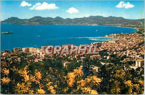 Cartes postales moderne La cote d azur cannes (a m) 2204 vue generale sur la ville le golfe de la napoule et l esterel