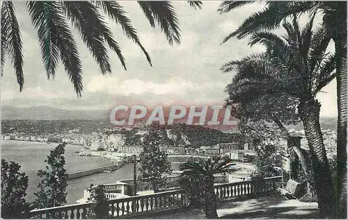 Cartes postales moderne 23 nice vue prise du mont boron