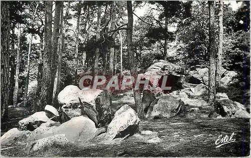 Cartes postales moderne Ballancourt (s et o) les rochers du mont