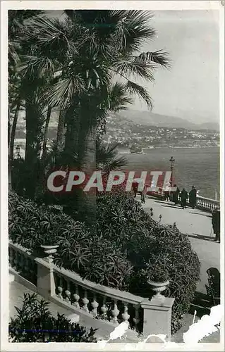 Cartes postales moderne 26 cote d azur monte carlo