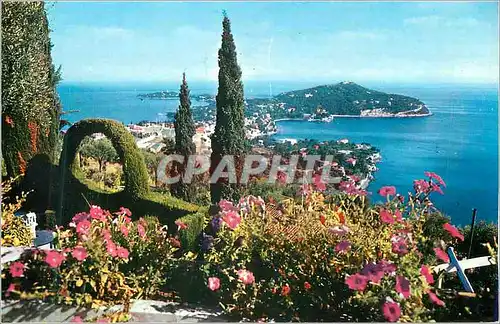 Cartes postales moderne La cote d azur le cap ferrat