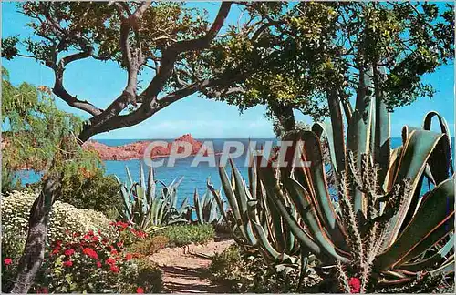 Cartes postales moderne La cote d azur 25 harmonie de couleur et de lumiere