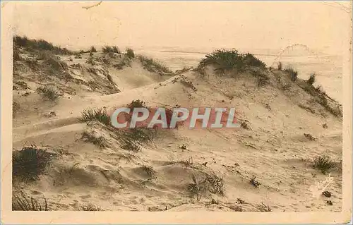Cartes postales moderne 4672 a g a la cote d argent soulac sur mer les dunes vers l amelie
