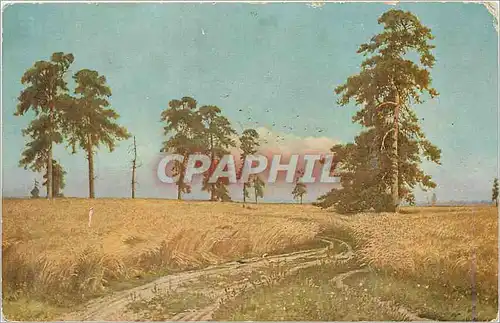 Cartes postales Schischkine Dans les seigles