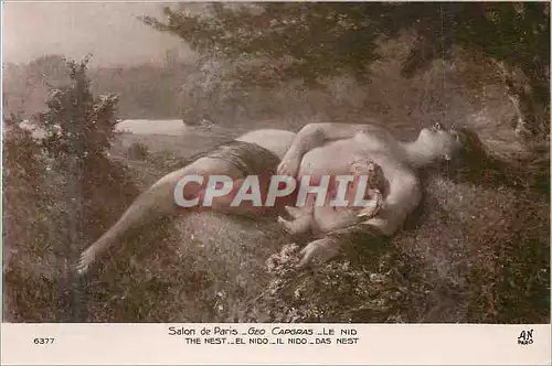 Cartes postales Salon de paris geo capgras le nid