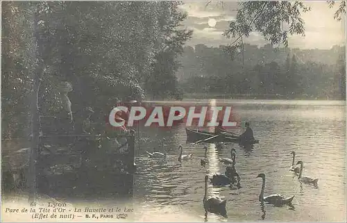 Cartes postales 64 lyon parc de la tete d or la buvette et le lac (effet de nuit) Cygnes