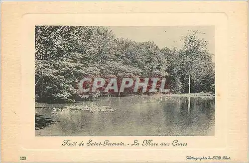 Cartes postales Foret de saint germain la marc aux canes