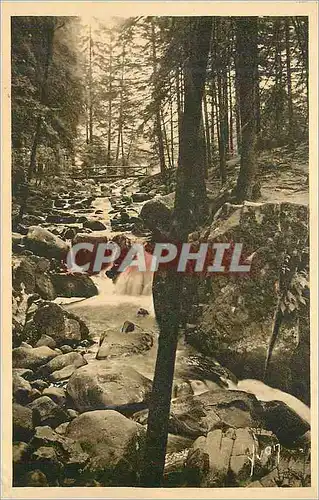 Cartes postales La douce france 290 gerardmer(vosges) le saut des cuves le pont d amour