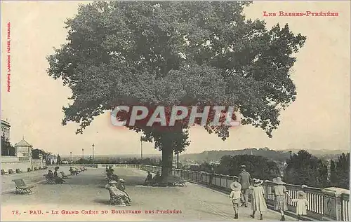 Ansichtskarte AK Les basses pyrenees 78 pau le grand chene du boulevard des pyrenees