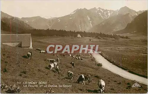 Cartes postales moderne 77 le mont dore la route et la chaine du sancy Vaches