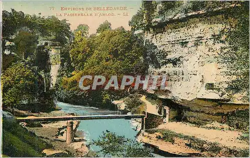 Cartes postales 77 environs de bellegarde la passerelle d arlod