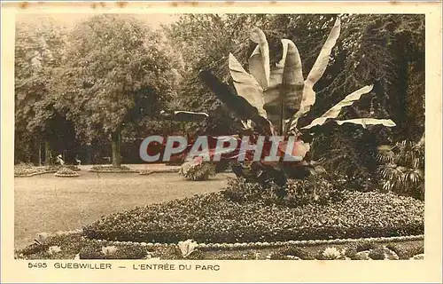 Cartes postales 5495 guebwiller l entree du parc