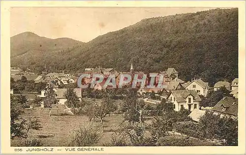 Cartes postales 856 jungholz vue generale