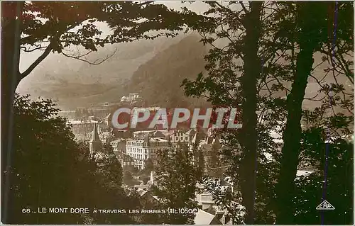 Cartes postales moderne 68 le mont dore a travers les arbres(alt 1050m)
