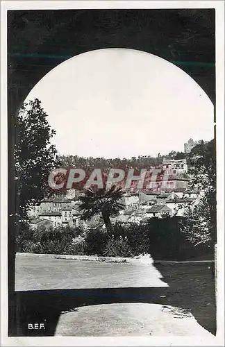 Cartes postales moderne 12784 bormes les mimosas (var)