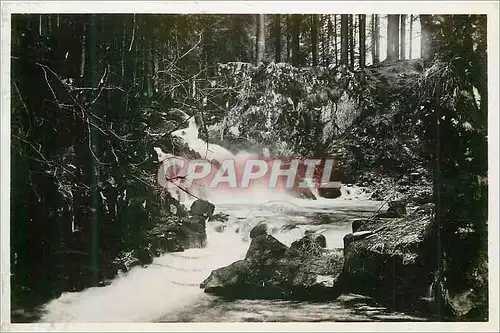 Cartes postales moderne 15394 gerardmer le saut des cuves