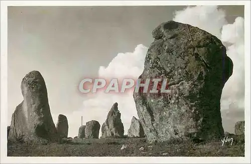 Cartes postales moderne La douce france 96 carnac (morbihan) alignements du ker menec