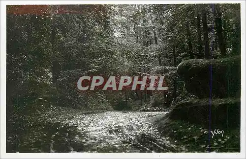 Cartes postales moderne La douce france 173 huelgoat route dans la foret