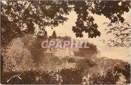 Cartes postales Toute la france n 20 pau (b p) le chateau henri iv vu du parc national