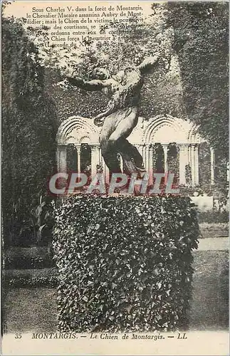 Cartes postales 35 montargis le chien de montargis