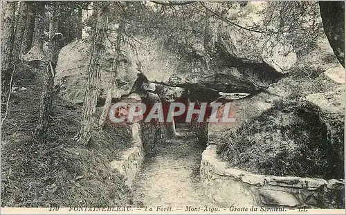 Cartes postales 170 fontainebleau la foret mont aigu grotte du serment