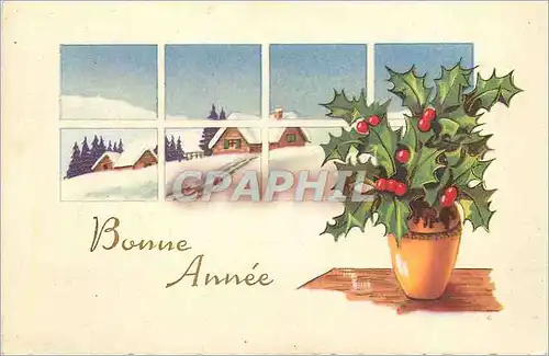 Cartes postales Bonne annee
