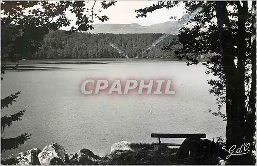 Cartes postales moderne L auvergne br co 217 le lac pavin le plus beau des lacs d auvergne