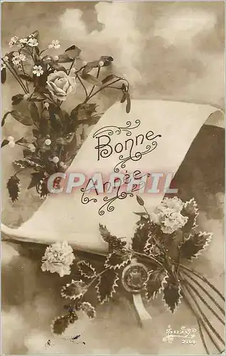 Cartes postales Bonne annee