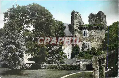Cartes postales moderne 56 chateaubriant (l atl) ruines du chateau fort (xi siecle)
