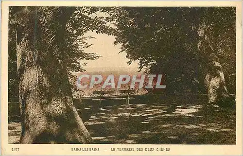 Cartes postales Bains les Bains La Terrasse des deux Chenes