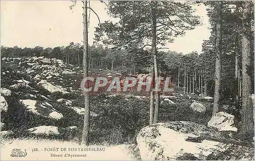 Cartes postales Foret de Fontainebleau Desert d Apremont