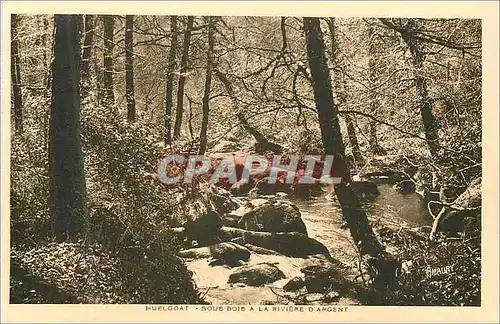 Cartes postales Huelgoat Sous bois a la riviere d argent