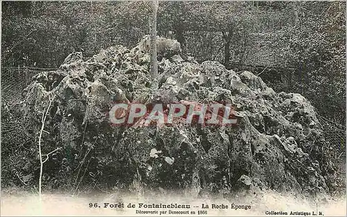 Cartes postales Foret de Fontainebleau La Roche Eponge