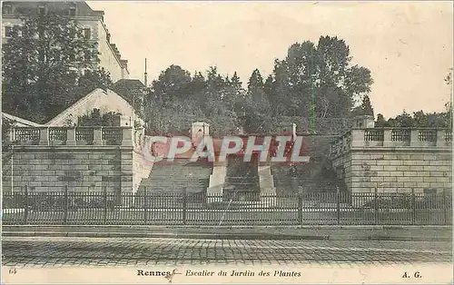 Ansichtskarte AK Rennes Escalier du Jardin des Plantes