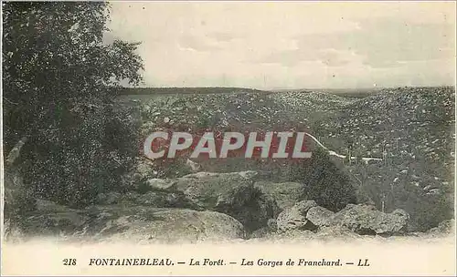 Cartes postales Fontainebleau La Foret Les Gorges de Franchard