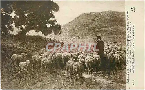 Cartes postales Salon de Paris Prevot Valeri Torupeau dans les Gorges