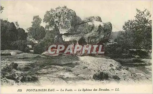 Ansichtskarte AK Fontainebleau La Foret Le Sphinx des Druides