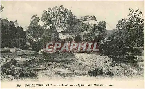 Cartes postales Fontainebleau La Foret Le Sphinx des Druides