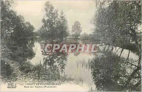 Cartes postales Foret de Fontainebleau Marc aux Pigeons Franchard