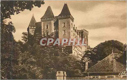 Cartes postales Pau Basses Pyrenees Le Chateau vu du Parc