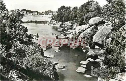 Cartes postales moderne Tregastel Ploumanach C du N L Anse de Traouiro